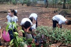 ESTUDIANTES  DE TERCERO PRIMARIA