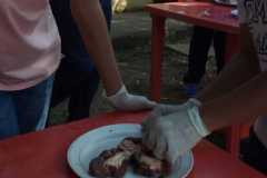 Laboratorio sistema excretor