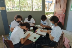 Aprenden a pensar en conjunto