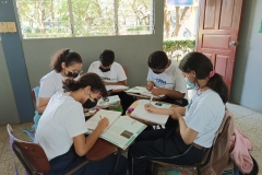 Aprenden a pensar en conjunto