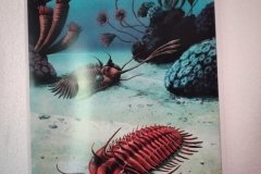 20221115_081023_mfnr
