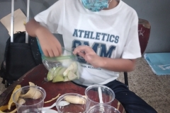 20220921_074136_mfnr