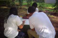 71348bd7-0f03-47b7-ac88-16a560a0a5d2