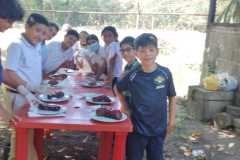 Laboratorio sistema excretor