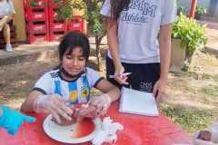 Laboratorio sistema excretor