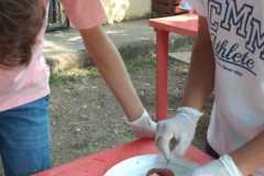 Laboratorio sistema excretor