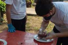 Laboratorio sistema excretor