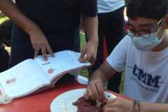 Laboratorio sistema excretor