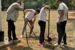 Preparándonos para sembrar