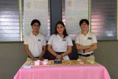 fbabc05f-5a5a-40e4-8637-894aa55bfcb2